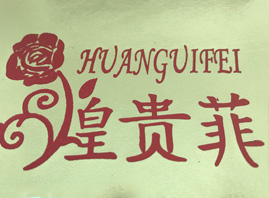 VݻFt(y)WƼ޹˾